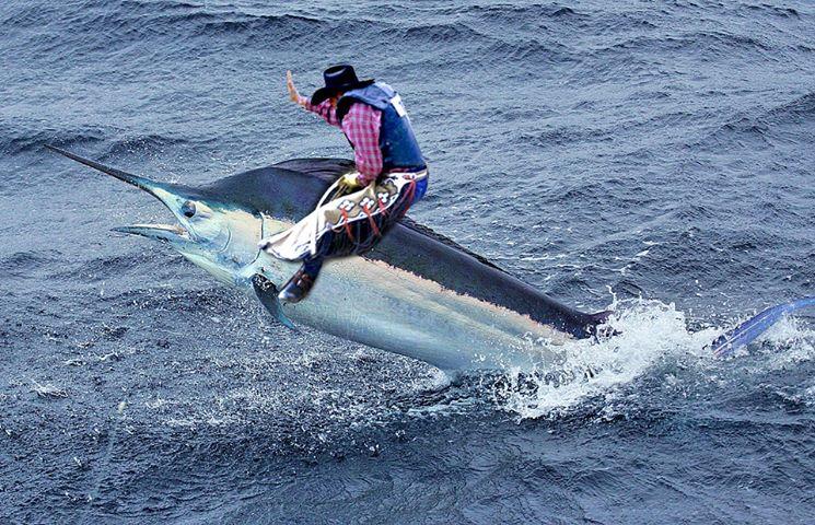 diverse adunate 2 - 74185101511797025760201368237671n.jpg